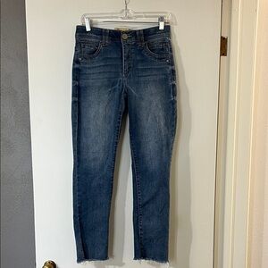 Democracy Dark Blue Ankle Jeans